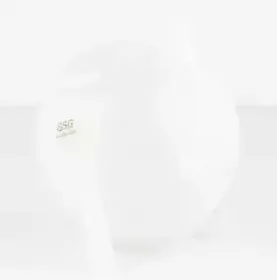 Компенсационный бак, охлаждающая жидкость BSG купить